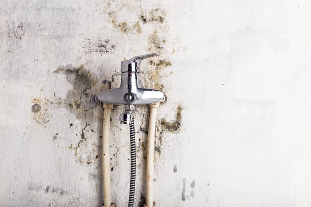 Best Mold Remediation Services  in Catoosa, OK