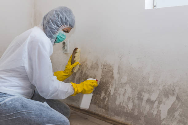 Mold Removal Process in Catoosa, OK