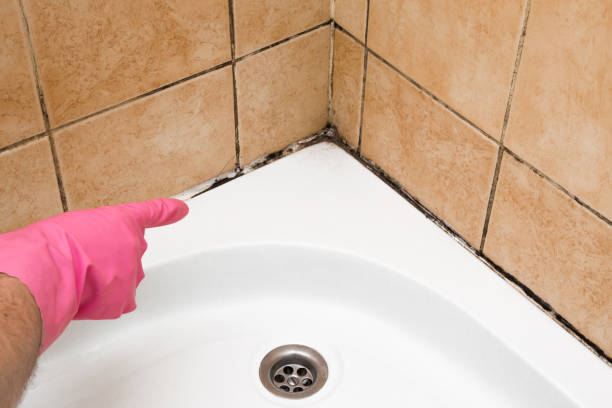 Home Mold Removal in Catoosa, OK